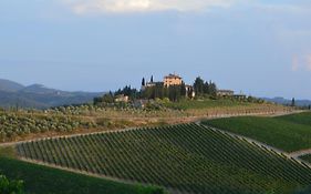 Damario Panorama